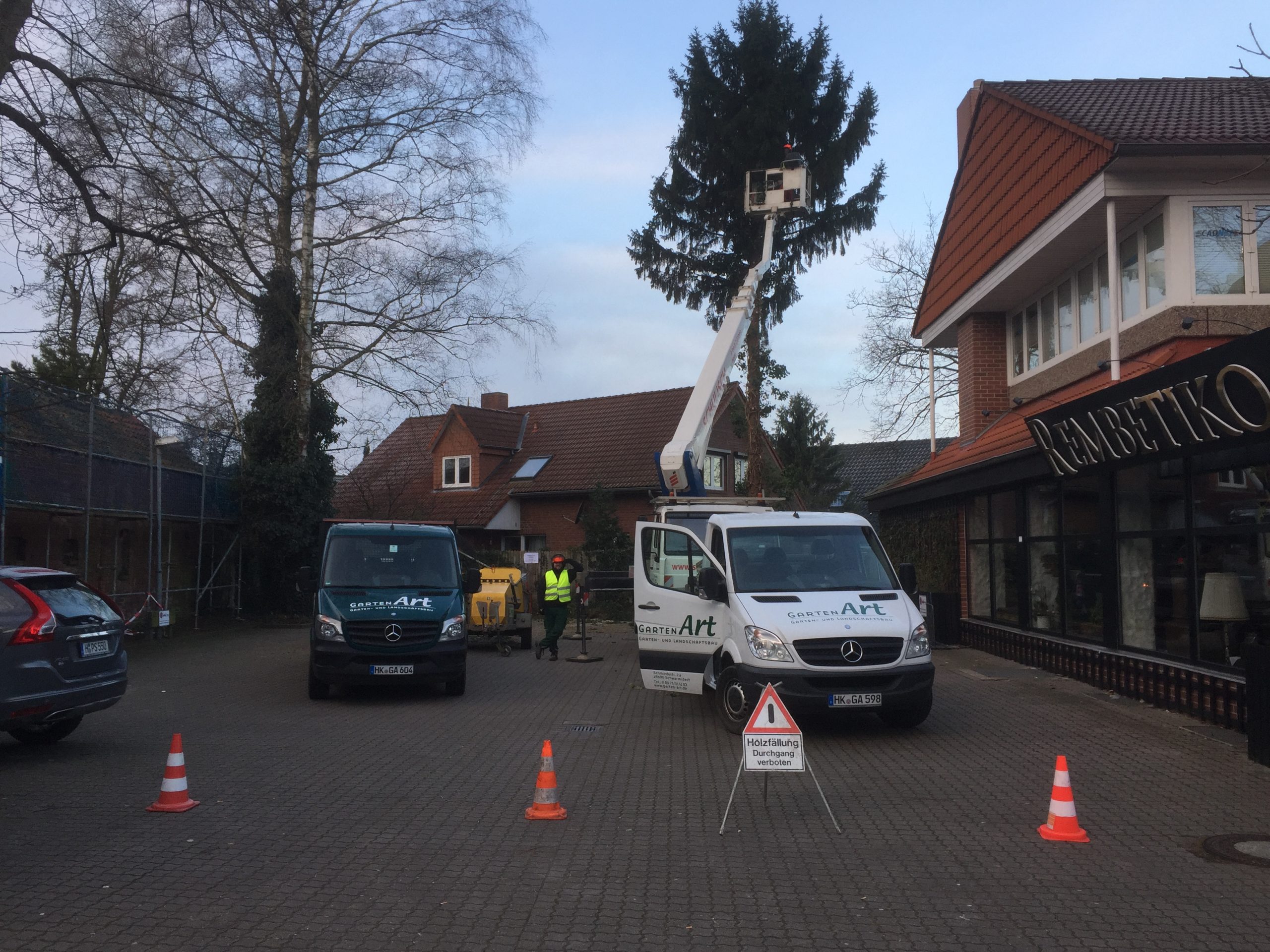 Baumfällung in einem Wohngebiet